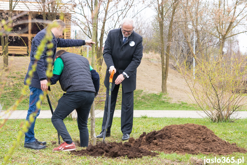 Otwarcie tężni solankowej w Jaśle