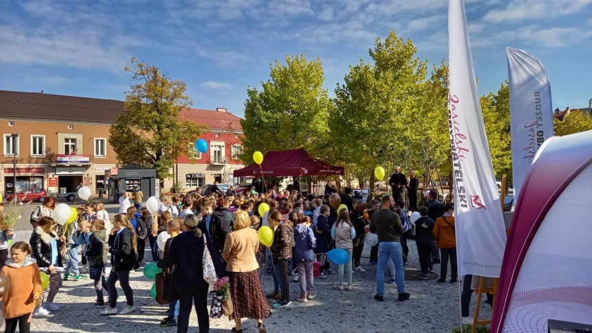 Piknik ekologiczny w Jaśle