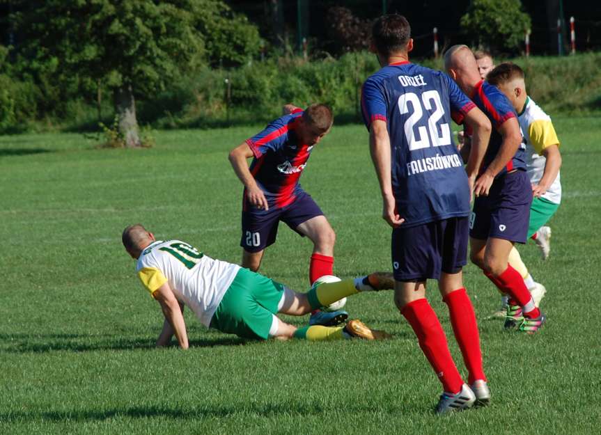 Piłka nożna. V liga krośnieńska. Mecz LKS Czeluśnica - Orzeł Faliszówka 0-0