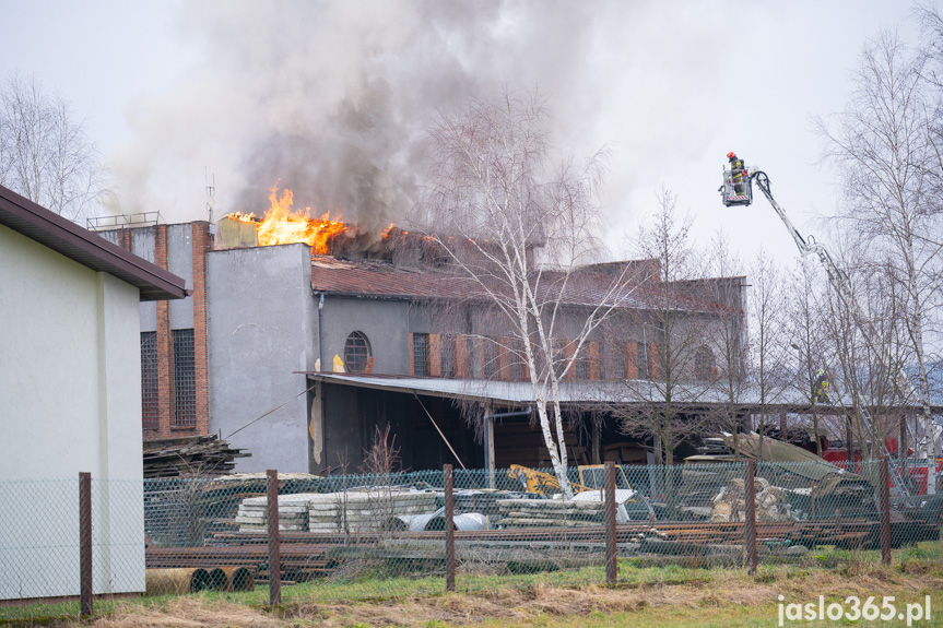 Pożar hali w miejscowości Roztoki
