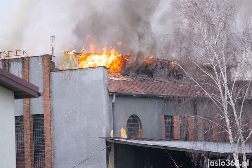 Pożar hali w miejscowości Roztoki