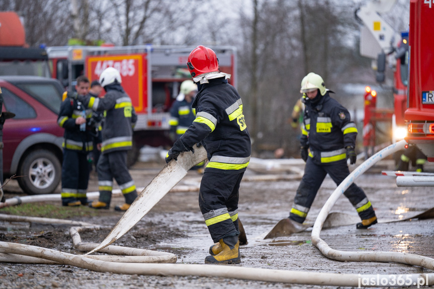 Pożar hali w miejscowości Roztoki