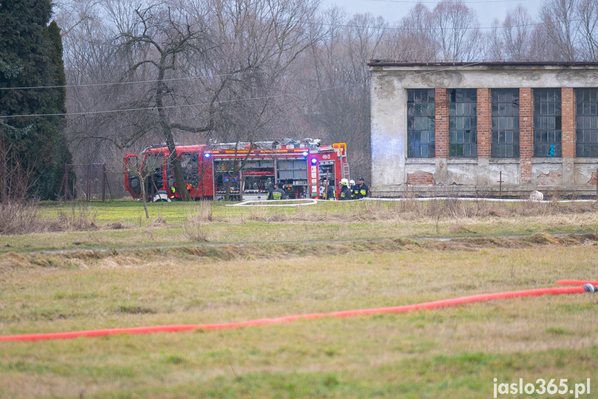 Pożar hali w miejscowości Roztoki