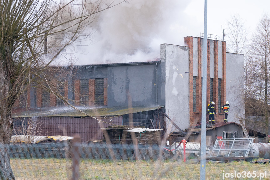 Pożar hali w miejscowości Roztoki