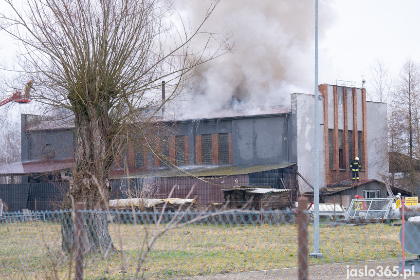 Pożar hali w miejscowości Roztoki