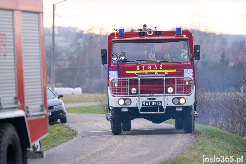 Pożar hali w miejscowości Roztoki