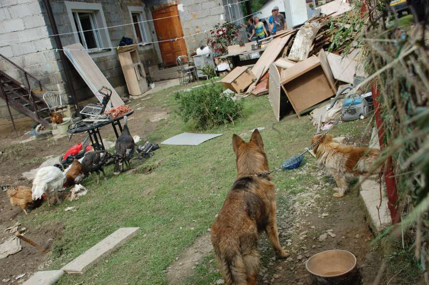 Sprzątanie po niszczycielskim żywiole w Trzcinicy