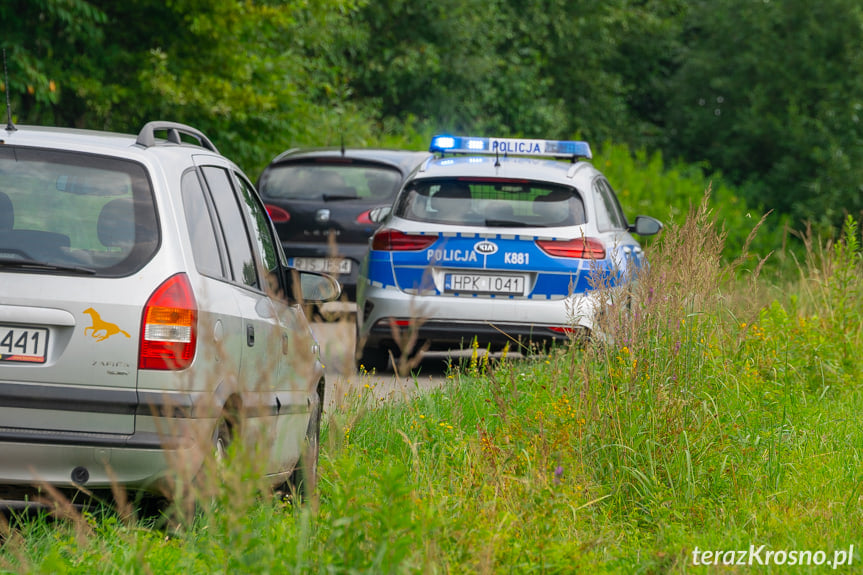 W Chrząstówce doszło do awaryjnego lądowania samolotu