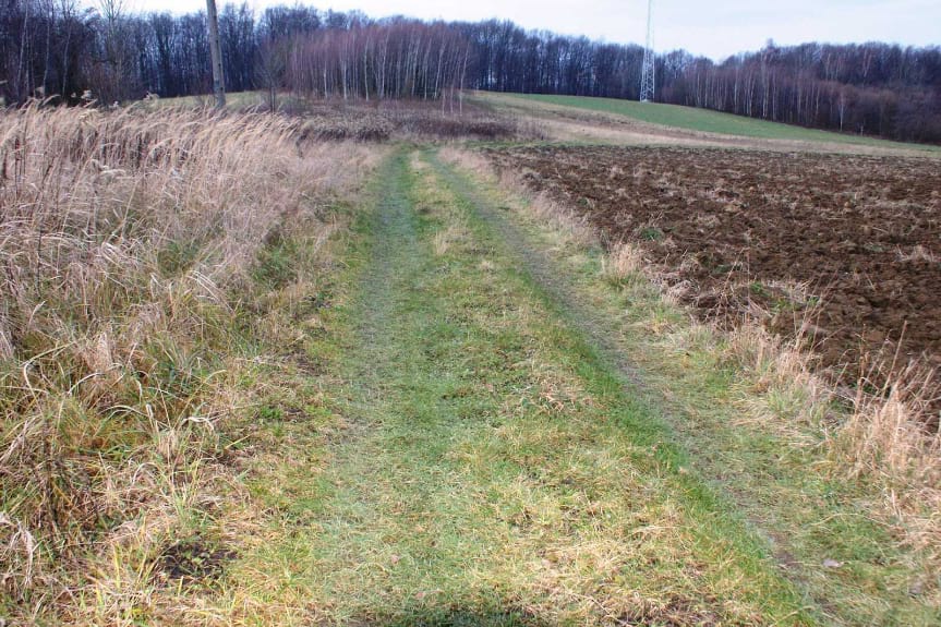 W Wolicy zmodernizowano drogę gruntową