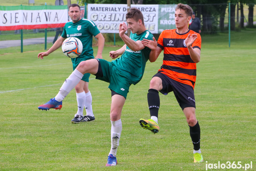 Wisłok Sieniawa - LKS Skołyszyn 2:2