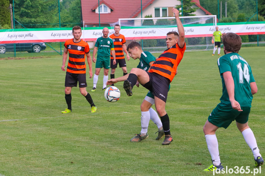 Wisłok Sieniawa - LKS Skołyszyn 2:2