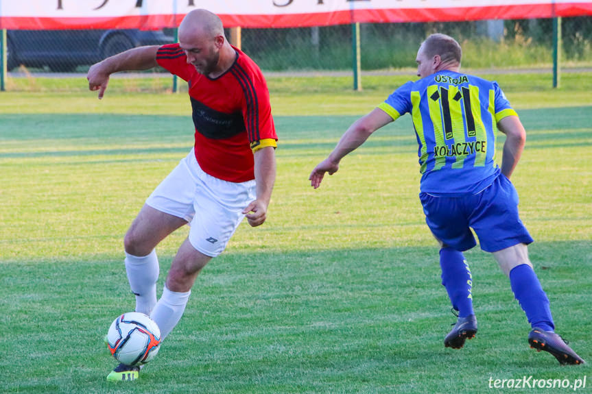Wisłok Sieniawa - Ostoja Kołaczyce 2:2