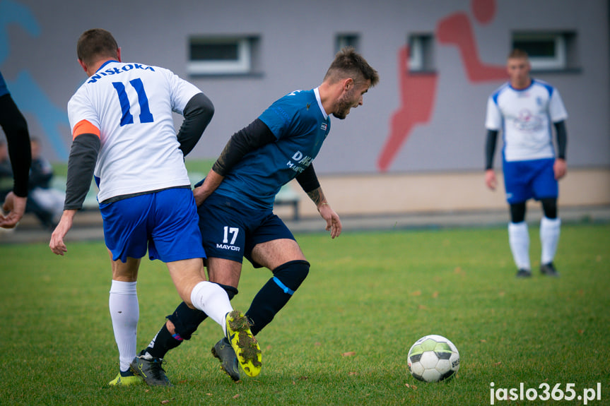 Wisłoka Niegłowice - Wisłoka Nowy Żmigród 0:2