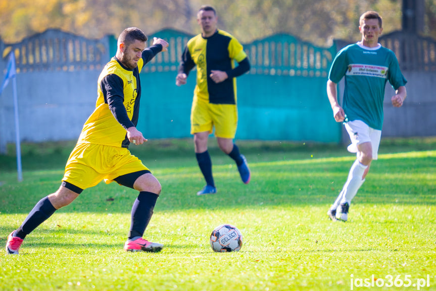 Wisłoka Nowy Żmigród - Wrzos Krempna 3:1