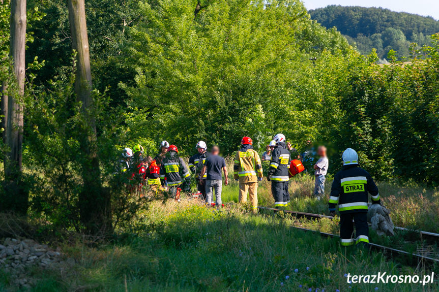 Wypadek na torach we Wróbliku Szlacheckim