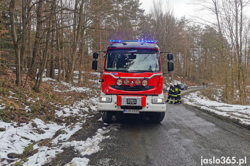 Wypadek w Desznicy