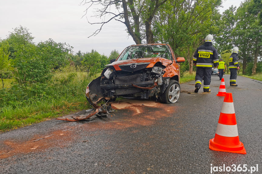 Wypadek w Roztokach