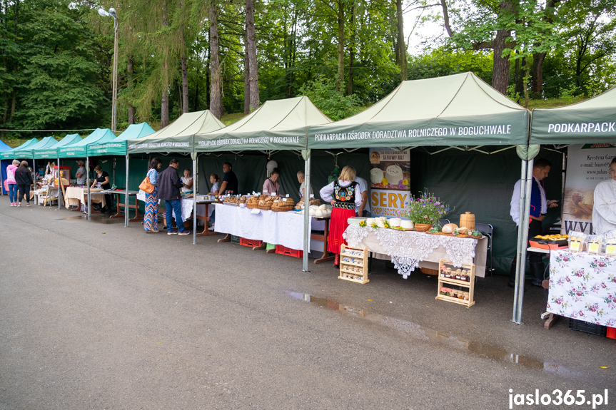 XII Festiwal Smaków Regionalnych Pierogi