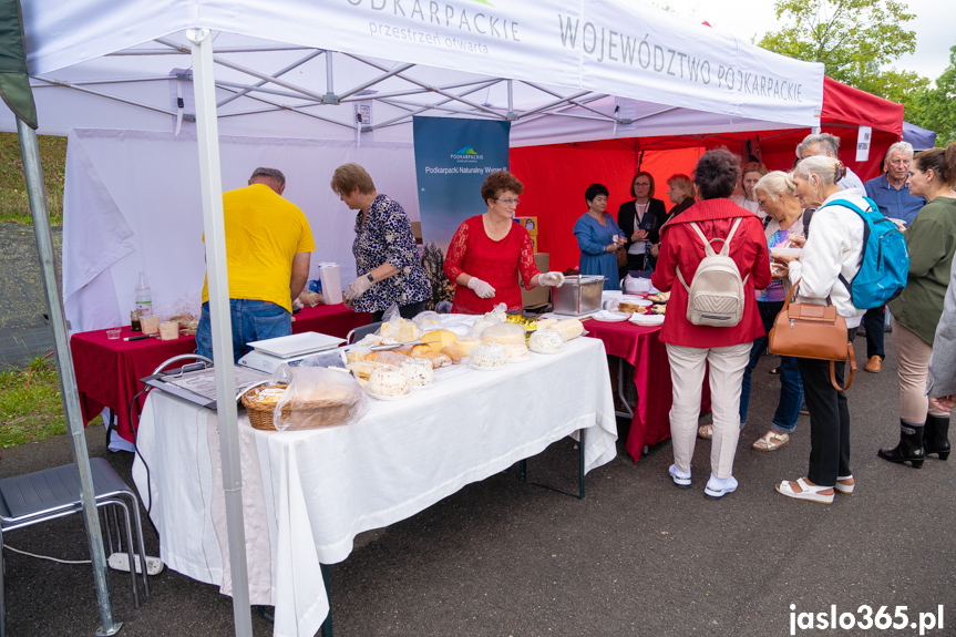 XII Festiwal Smaków Regionalnych Pierogi