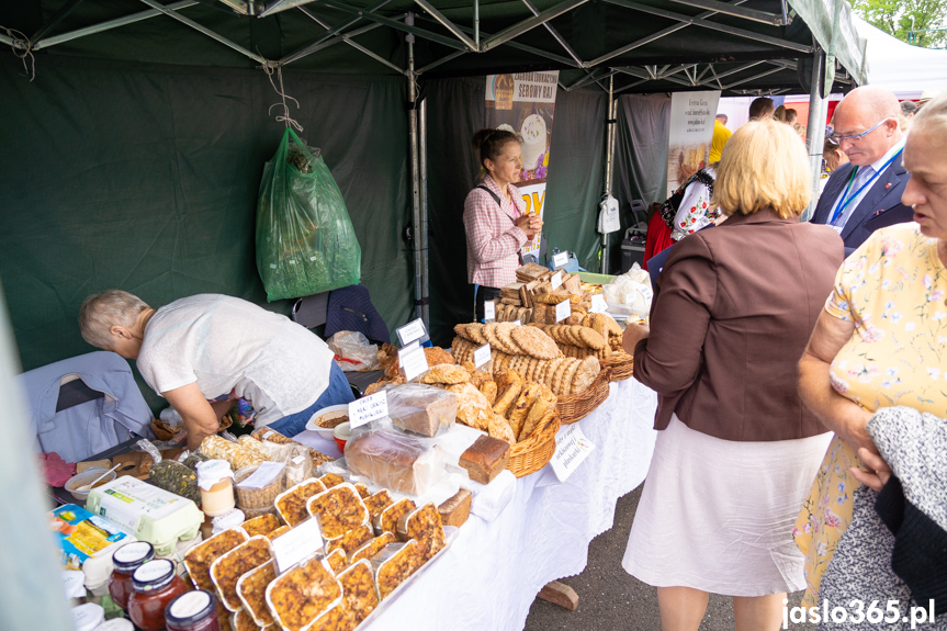 XII Festiwal Smaków Regionalnych Pierogi