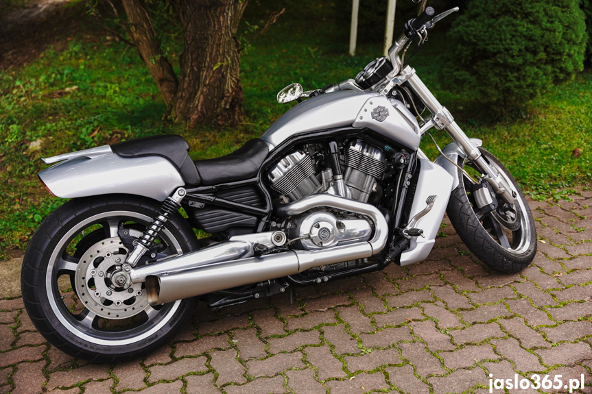 Zakończenie Sezonu Motocyklowego w Dębowcu