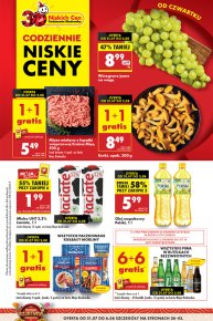 Biedronka gazetka