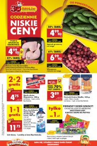 Biedronka gazetka