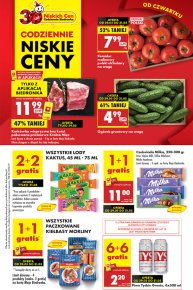 Biedronka gazetka