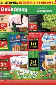 Delikatesy Centrum Jasło - Gazetka promocyjna 25/2024