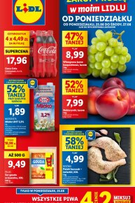 Lidl - Gazetka