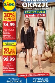 Lidl - gazetka