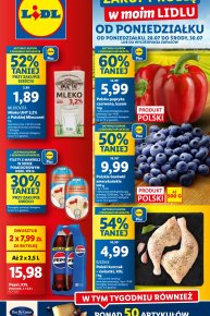 Lidl - gazetka