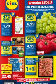Lidl - gazetka