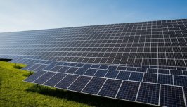 Szukam gruntów pod elektrownię PV - dzierżawa 