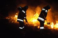 30 tysięcy za wypalanie suchych traw?