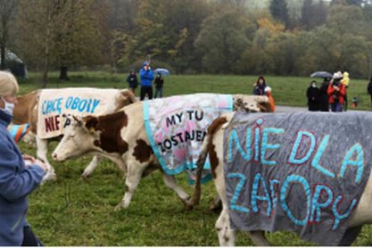 Artystyczny protest Sióstr Rzek przeciw budowie zapory w Myscowej
