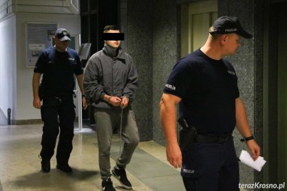 Brutalne zabójstwo w Trześniowie. 26-latek na ławie oskarżonych