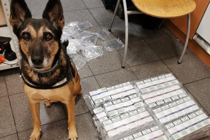 Cedra i skaner walczą z przemytnikami