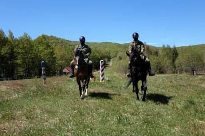 Dożywotnia opieka dla psów i koni służbowych Straży Granicznej