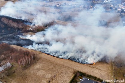 Dramatyczny wzrost pożarów traw na Podkarpaciu – strażacy biją na alarm
