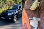 Dwa razy zatrzymany w ciągu tygodnia i dwa razy pijany