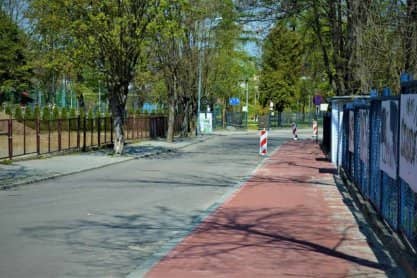 Ekologiczne kontrowersje w Jaśle. Budowa ścieżki rowerowej a wycinka drzew