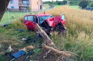 Groźny wypadek o świcie. Samochód roztrzaskał się na drzewie i słupie