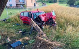 Groźny wypadek o świcie. Samochód roztrzaskał się na drzewie i słupie