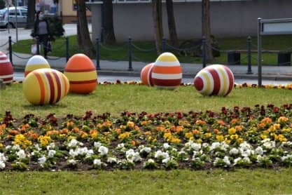 Jasło w stokrotkach i bratkach