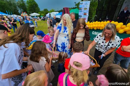 Jubileuszowy, 10. Piknik Rodzinny w Rymanowie-Zdroju