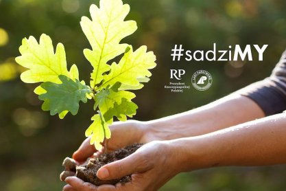 Leśnicy będą rozdawać sadzonki drzew