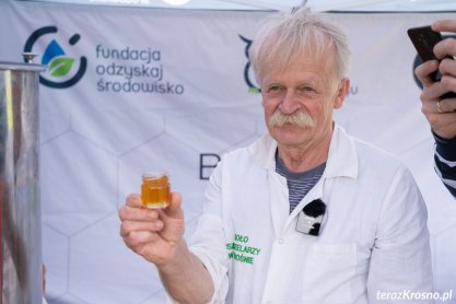 Miodobranie w miejskiej pasiece