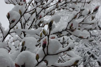 Może spaść nawet do 30 cm śniegu!