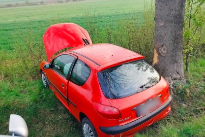 Nowy Żmigród. Zjechała z drogi do przydrożnego rowu